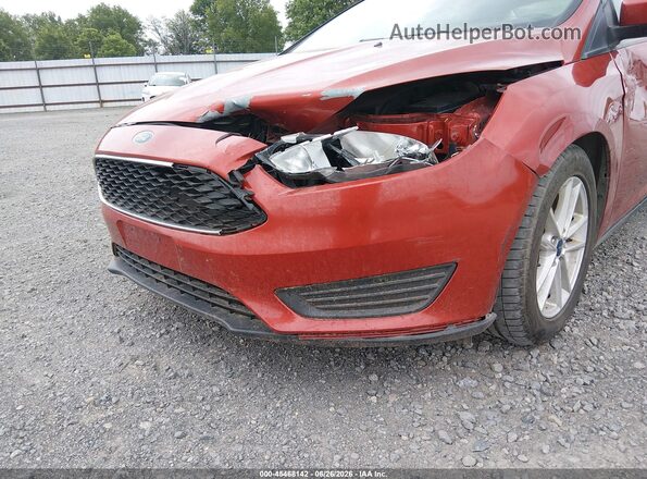 1FADP3F25JL316670 2018 FORD FOCUS Красный Вид задней части салона