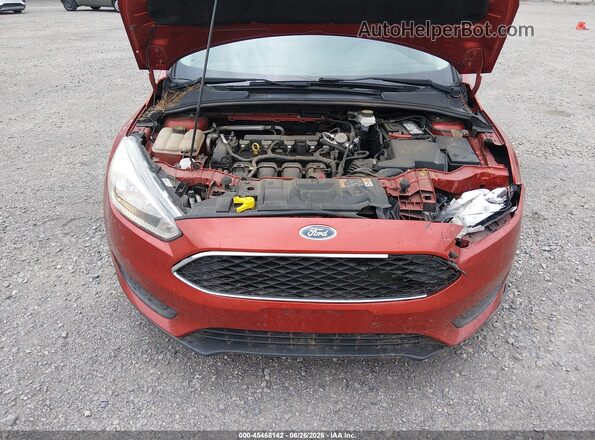 1FADP3F25JL316670 2018 FORD FOCUS Красный Вид сзади