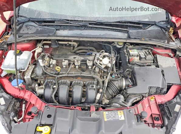 1FADP3F27GL361389 2016 FORD FOCUS Red Սալոնի հետևի տեսք