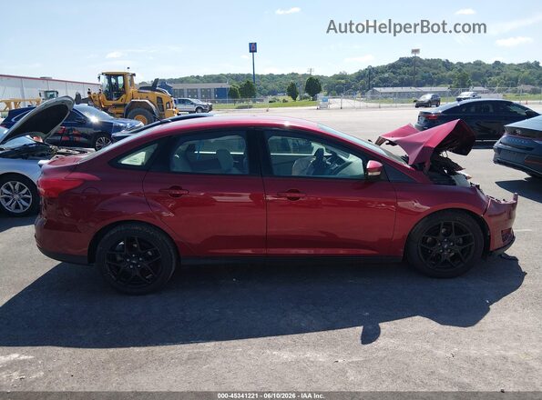 1FADP3FE2GL288510 2016 FORD FOCUS Red Rear interior view