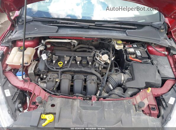 1FADP3H24HL295351 2017 FORD FOCUS Красный Вид сзади