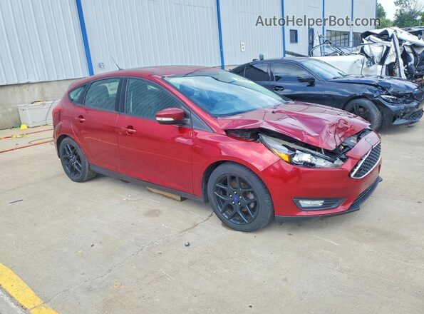 1FADP3K20GL311794 2016 FORD FOCUS Red წინა მარჯვენა