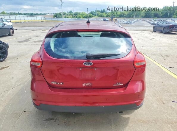 1FADP3K20GL311794 2016 FORD FOCUS Red უკანა ხედი