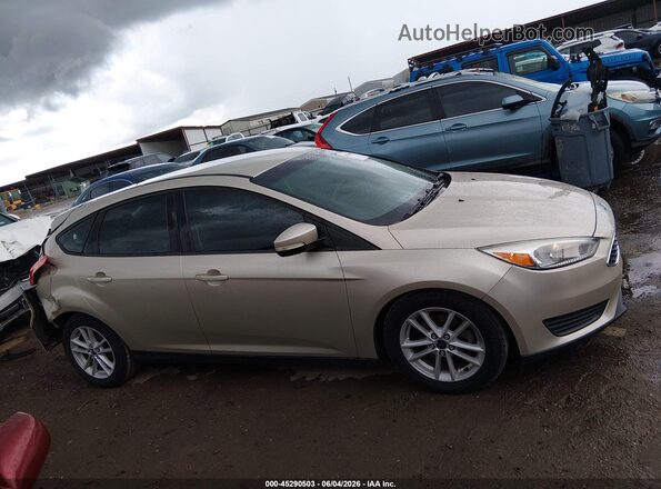 1FADP3K20HL262887 2017 FORD FOCUS Gold უკანა სალონის ხედი