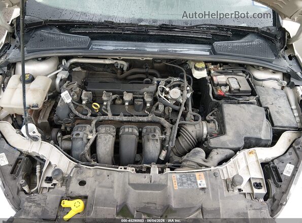 1FADP3K20HL262887 2017 FORD FOCUS Gold უკანა ხედი