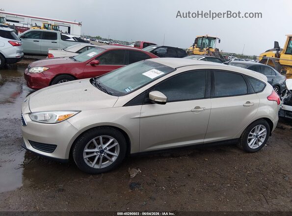 1FADP3K20HL262887 2017 FORD FOCUS Gold სალონის 360-გრადუსიანი ხედი