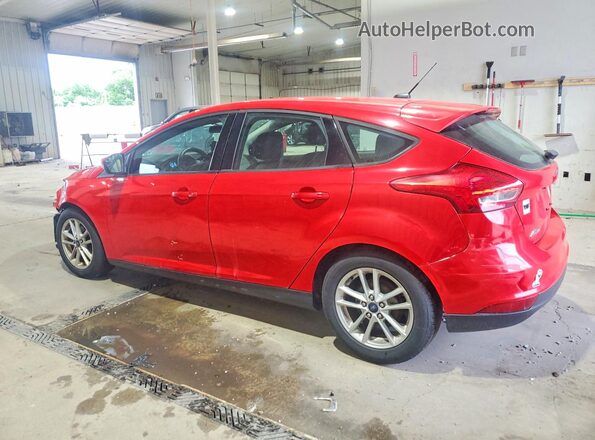 1FADP3K21GL264663 2016 FORD FOCUS Красный 