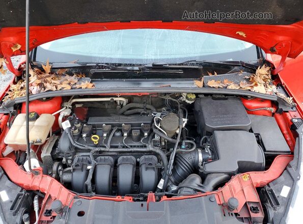 1FADP3K22GL213317 2016 FORD FOCUS Red Շարժիչի բաժամունքի տեսք