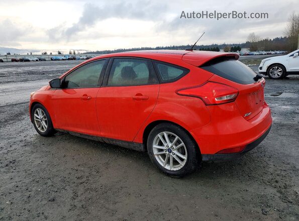 1FADP3K22GL213317 2016 FORD FOCUS Red Հետևի ձախ