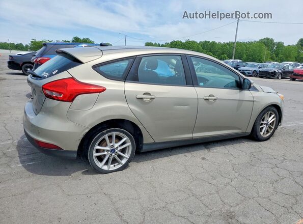 1FADP3K22GL359152 2016 FORD FOCUS Beige Հետևի աջ