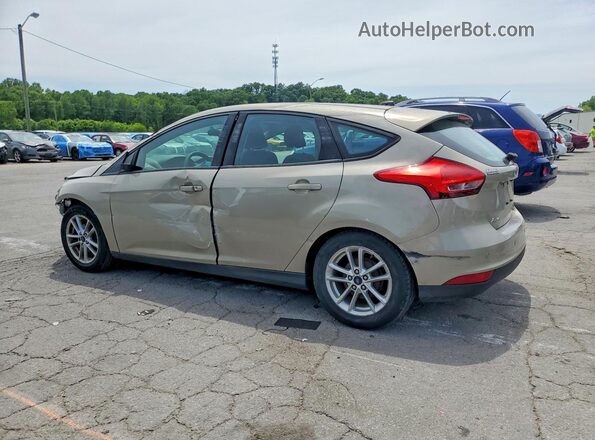 1FADP3K22GL359152 2016 FORD FOCUS Beige Հետևի ձախ