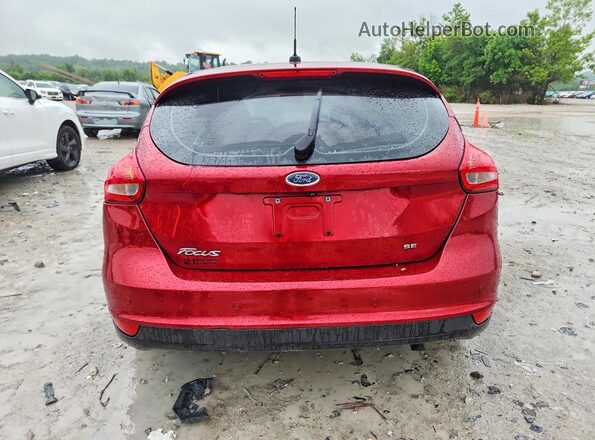 1FADP3K23GL312115 2016 FORD FOCUS Red Widok z tyłu