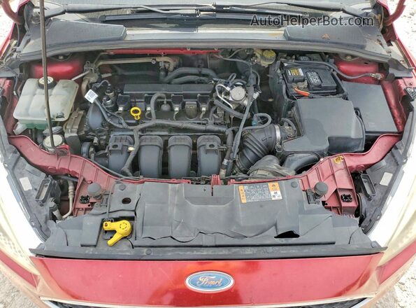 1FADP3K23GL336480 2016 FORD FOCUS Темно-бордовый Вид задней части салона