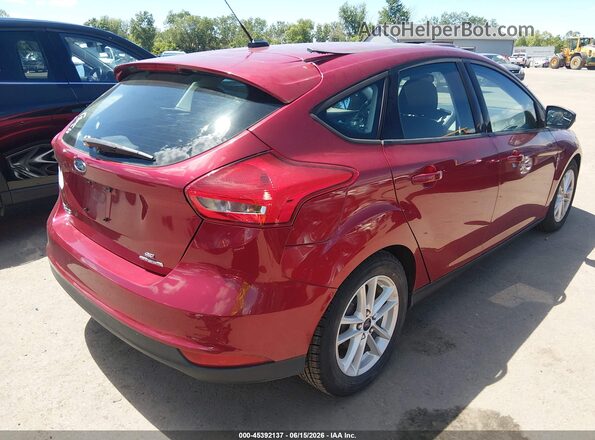 1FADP3K24GL213366 2016 FORD FOCUS Red უკანა მარჯვენა