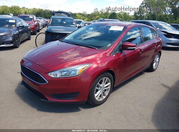 1FADP3K24GL213366 2016 FORD FOCUS Red წინა მარცხენა ხედი სამი მეოთხედიდან