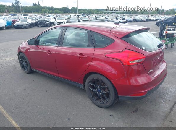 1FADP3K24GL247310 2016 FORD FOCUS Red უკანა მარცხენა