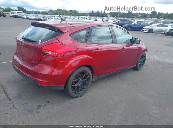 1FADP3K24GL247310 2016 FORD FOCUS Red უკანა მარჯვენა