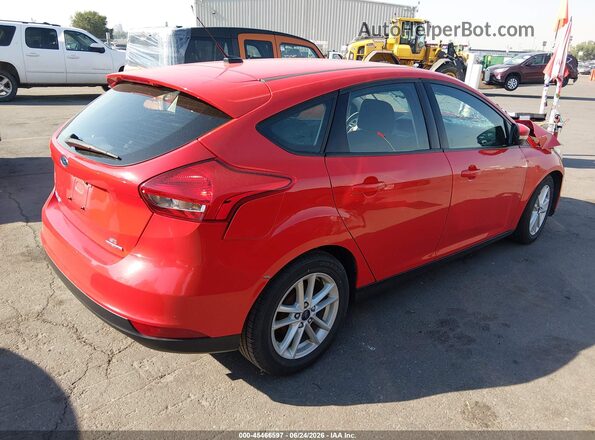 1FADP3K24GL373554 2016 FORD FOCUS Red Tył prawy
