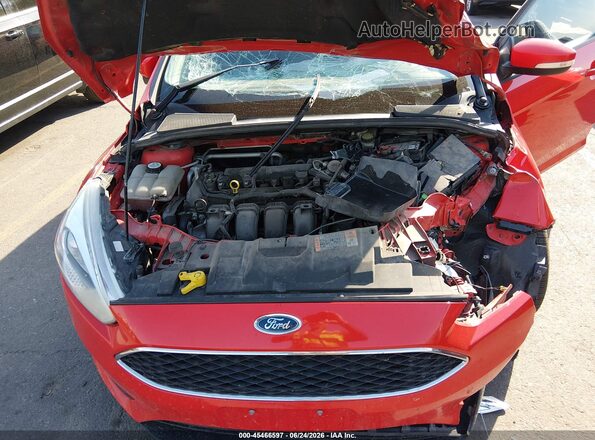 1FADP3K24GL373554 2016 FORD FOCUS Red Widok z tyłu