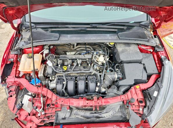 1FADP3K24GL391486 2016 FORD FOCUS Maroon Սալոնի հետևի տեսք