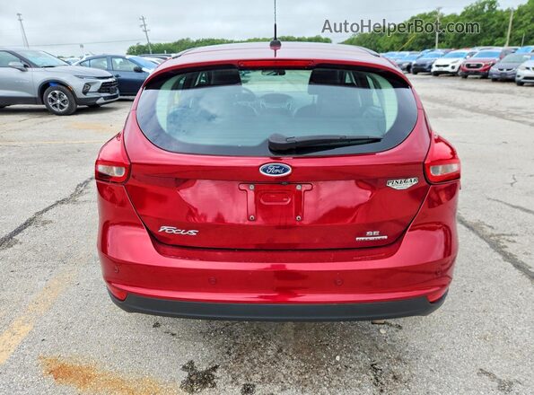 1FADP3K24GL391486 2016 FORD FOCUS Maroon Հետևի տեսք