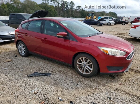 1FADP3K26HL332540 2017 FORD FOCUS Red წინა მარჯვენა