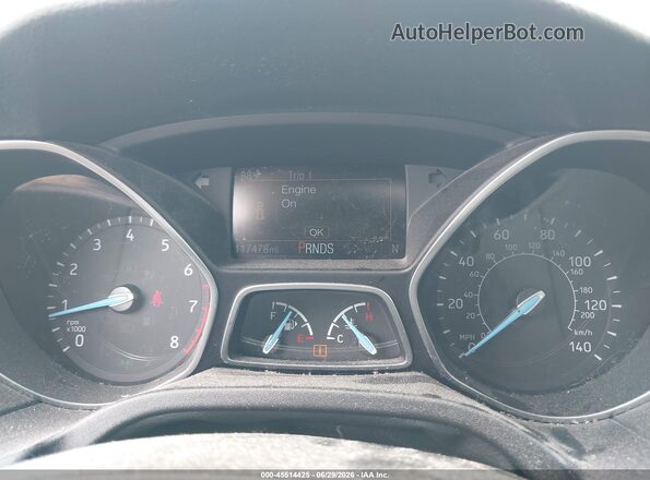 1FADP3K28GL343313 2016 FORD FOCUS Blue უკანა სავარძლების ხედი