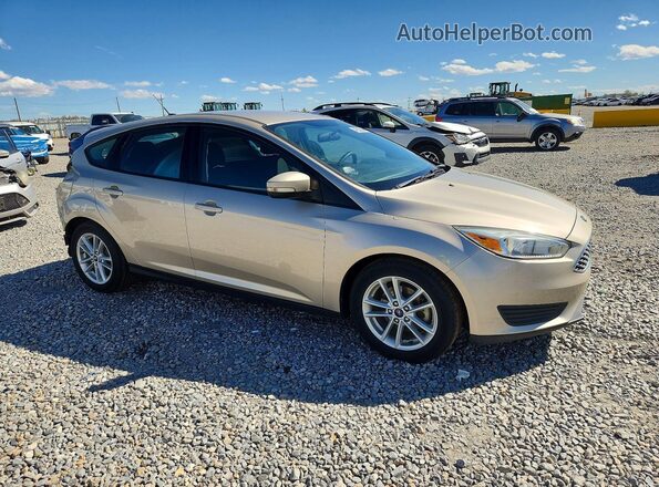 1FADP3K28HL276715 2017 FORD FOCUS Tan 