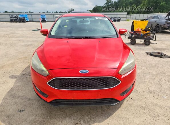 1FADP3K29GL206011 2016 FORD FOCUS Red Դիմացի տեսք