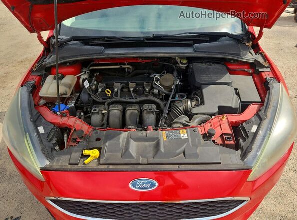 1FADP3K29GL206011 2016 FORD FOCUS Red Սալոնի հետևի տեսք