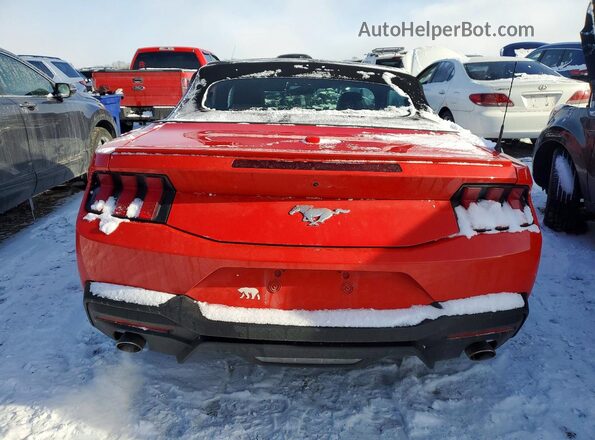 1FAGP8UH5R5133545 2024 FORD MUSTANG Red Rear view