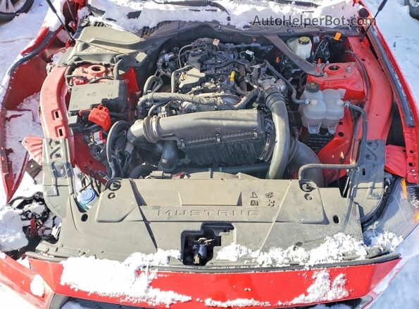 1FAGP8UH5R5133545 2024 FORD MUSTANG Red Rear interior view