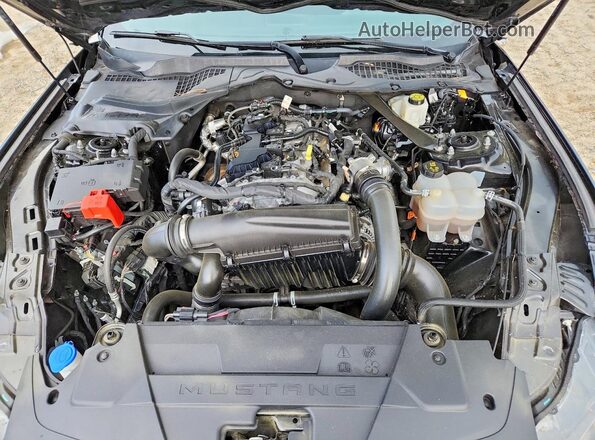 1FAGP8UH7R5126726 2024 FORD MUSTANG Черный Вид задней части салона