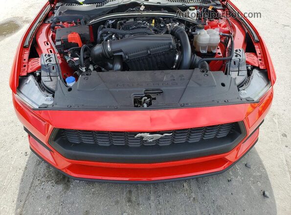 1FAGP8UH7S5111360 2025 FORD MUSTANG Red Widok wnętrza z tyłu
