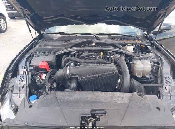 1FAGP8UH9S5111005 2025 FORD MUSTANG Black Widok z tyłu