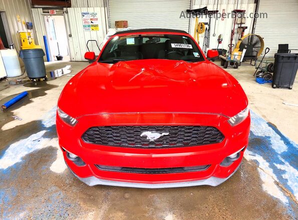 1FATP8EM5G5284683 2016 FORD MUSTANG Red 