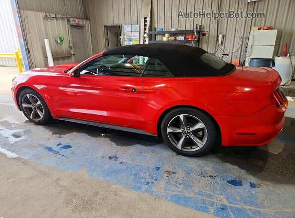 1FATP8EM5G5284683 2016 FORD MUSTANG Red 