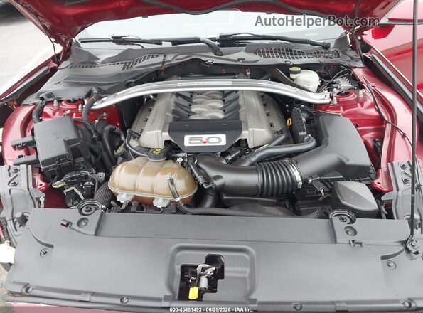1FATP8FF6G5226338 2016 FORD MUSTANG Red უკანა ხედი