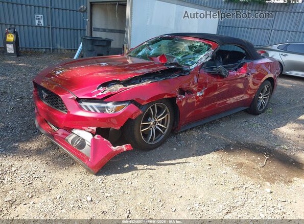 1FATP8UH1H5282614 2017 FORD MUSTANG Красный Передняя левая четверть
