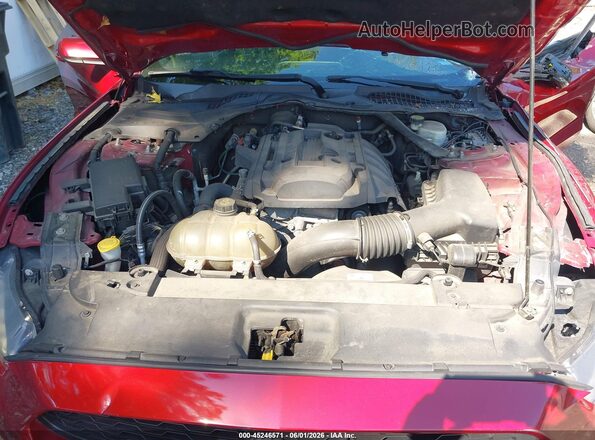 1FATP8UH1H5282614 2017 FORD MUSTANG Красный Вид сзади