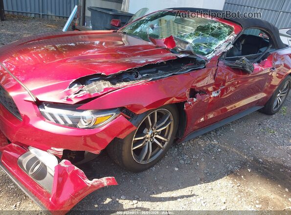 1FATP8UH1H5282614 2017 FORD MUSTANG Красный Вид спереди