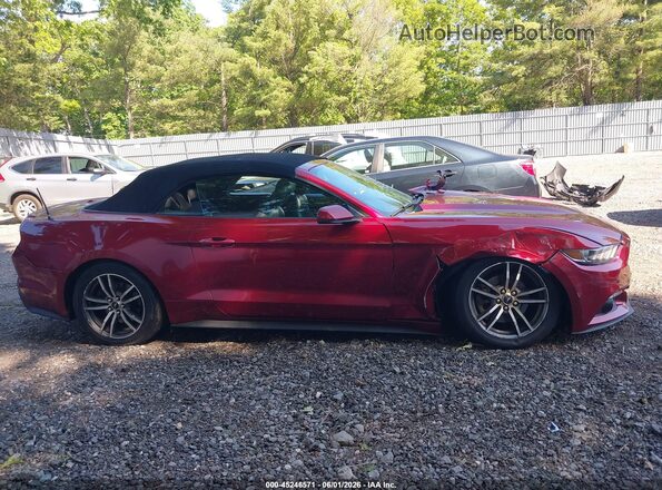 1FATP8UH1H5282614 2017 FORD MUSTANG Красный Вид задней части салона