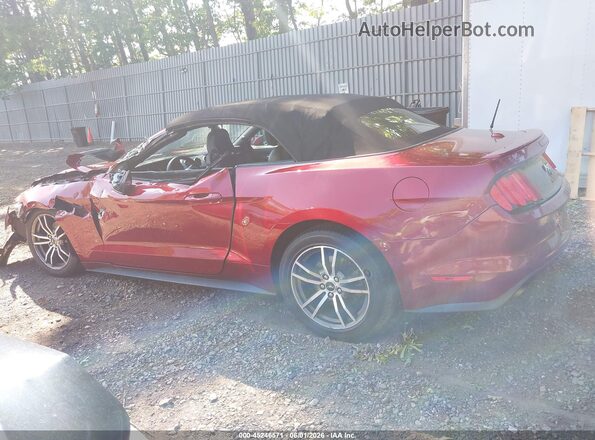 1FATP8UH1H5282614 2017 FORD MUSTANG Красный Панорамный вид салона 360°
