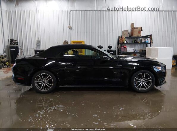 1FATP8UH1H5331293 2017 FORD MUSTANG Черный Вид задней части салона
