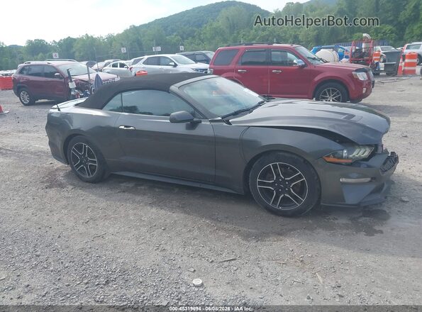 1FATP8UH1K5104774 2019 FORD MUSTANG Black უკანა სალონის ხედი