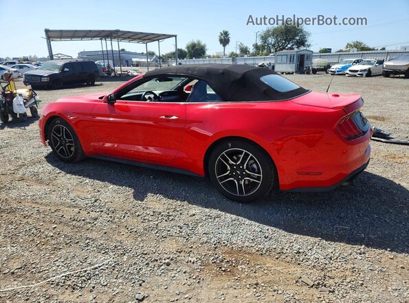 1FATP8UH2M5124650 2021 FORD MUSTANG Red უკანა მარცხენა