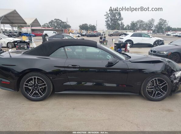 1FATP8UH2P5105326 2023 FORD MUSTANG Black უკანა სალონის ხედი