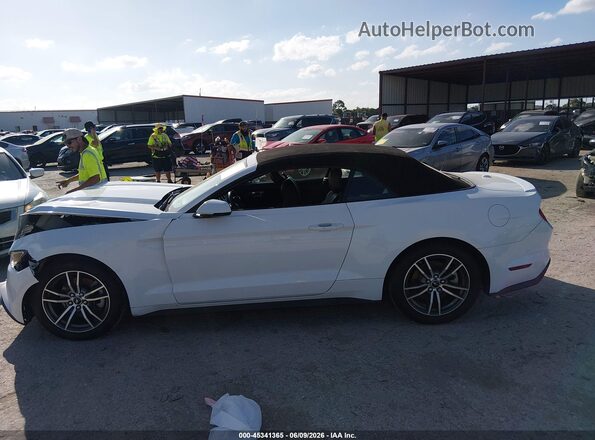 1FATP8UH5G5304841 2016 FORD MUSTANG White სალონის 360-გრადუსიანი ხედი