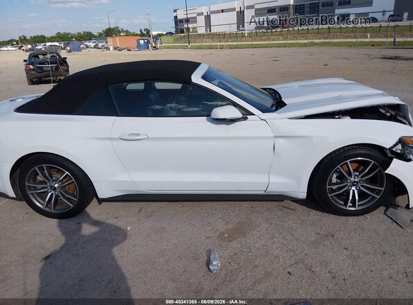 1FATP8UH5G5304841 2016 FORD MUSTANG White უკანა სალონის ხედი