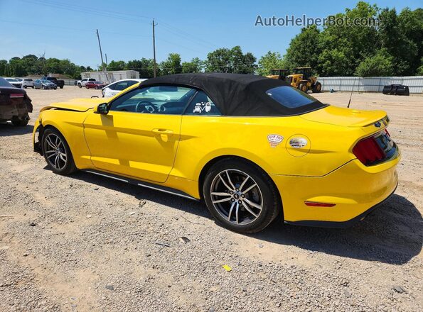 1FATP8UH5H5254640 2017 FORD MUSTANG Yellow 
